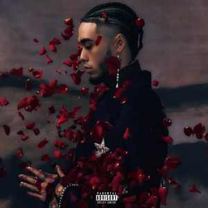 999无色码中文字幕
