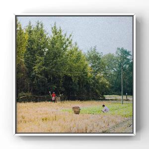 999无色码中文字幕
